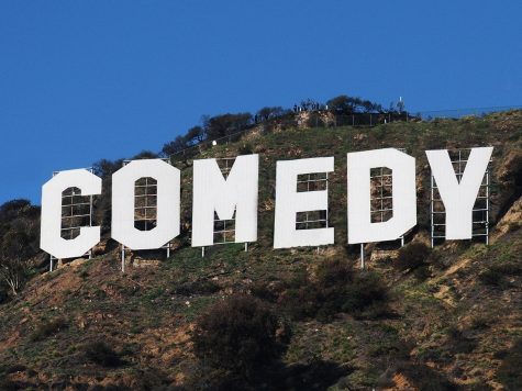 Quiz: Which Comedian Are You?