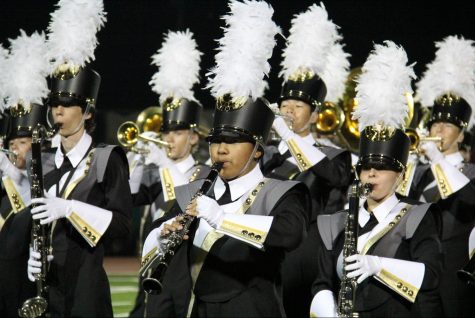 As Seen In The Image: Lancer Regiment
