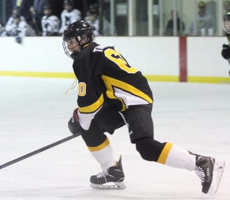 Ice hockey reflects on the regular season