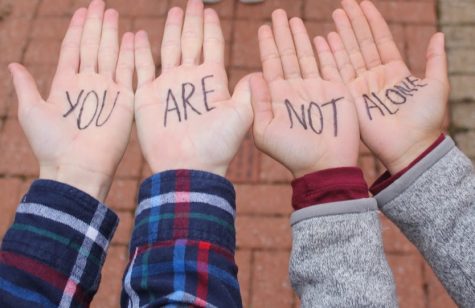 Mental illness, what LHS is doing about it