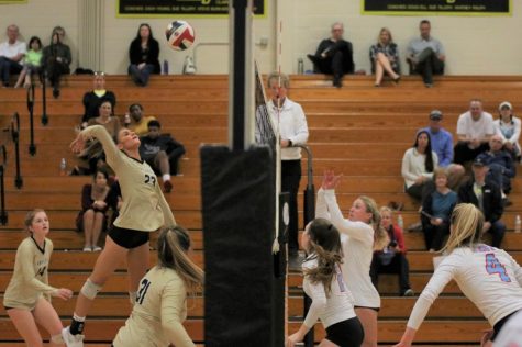 Weekly sports update Oct. 14-Oct. 20