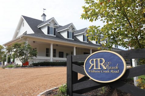 R&R Ranch provides home for neglected miniature horses