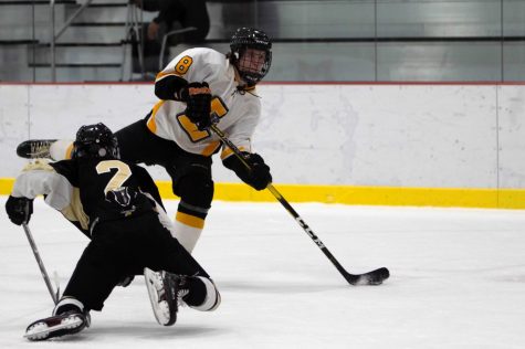 Hockey uses preseason momentum to establish themselves in new league