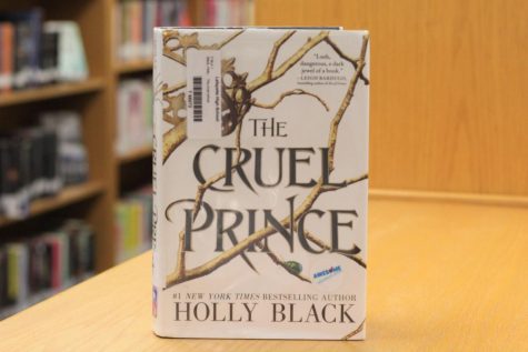 Review: The Cruel Prince’s unique characters make for interesting plot