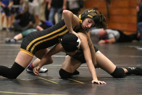 Weekly sports update: Jan. 13-Jan. 19