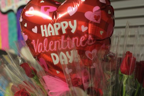 Photo Opinion: Is Valentine’s Day overrated?