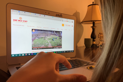 One of many free services offered online during this time is free live-streaming webcams of a variety of places. One of these webcams is a feed of Goat Milk Stuff's goat pen.