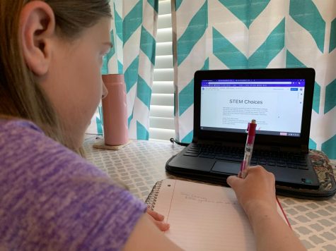 With the switch to online courses and Rockwood's continuation of the ALP, many teachers rely on Zoom to keep in contact with their students and teach live lectures. In addition to this, all classwork is done online.