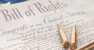 Gun Control: Obama’s Path to Safety