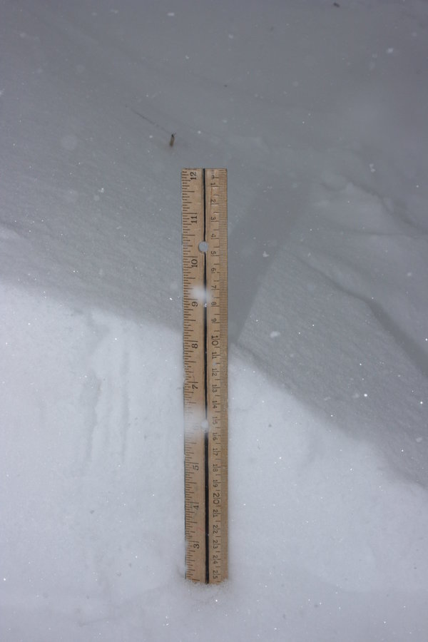 Ruler in the snow showing the eight inch depth
