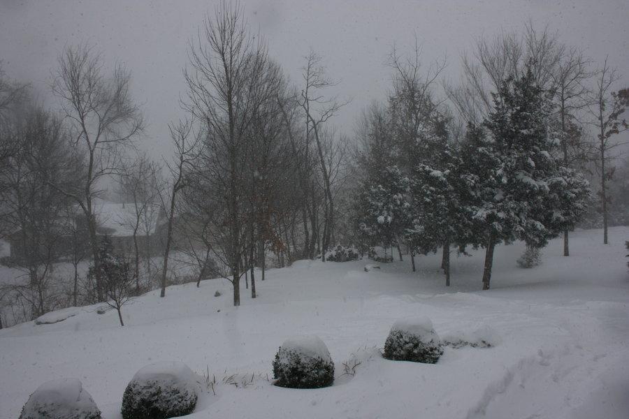 Backyard view in midst of snow storm on January 5th