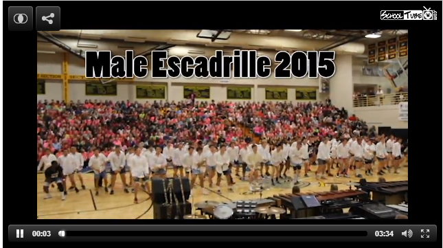 Male Escadrille 2015