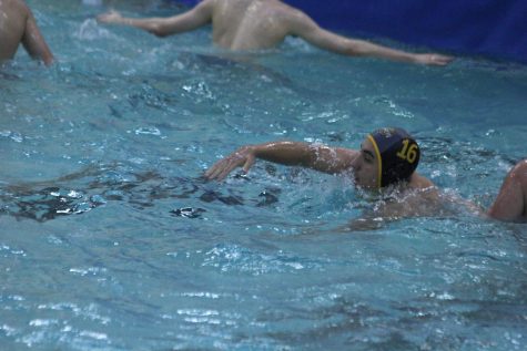 Despite good individual performance, water polo struggles to put up winning results