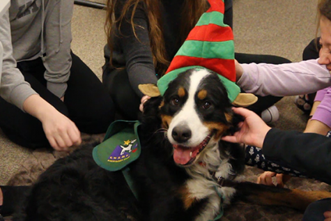 Dog Days at LHS