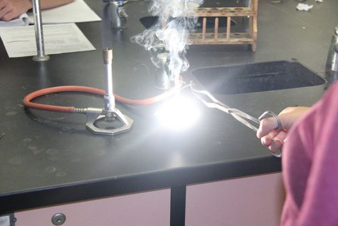 Following the roots of STEM