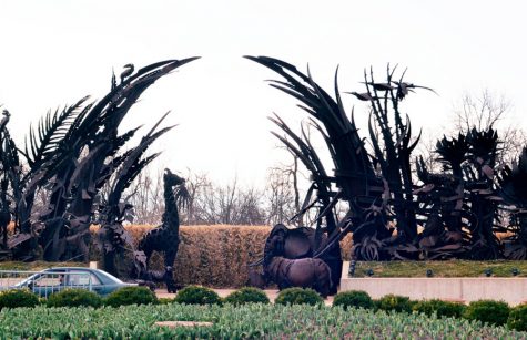 St. Louis Zoo: all about the jungle in Forest Park