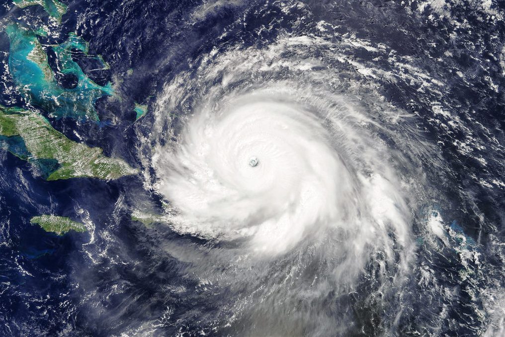 Lafayette alumni at Florida college evade Hurricane Irma