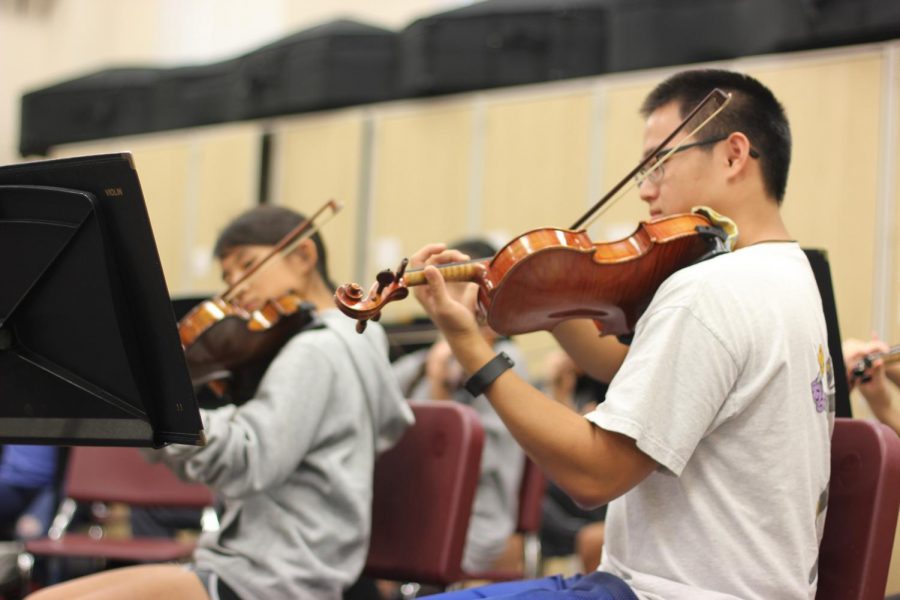 Junior Michael Lu, a new member of All-State Orchestra., practices with the the Lafayette Symphonic Orchestra