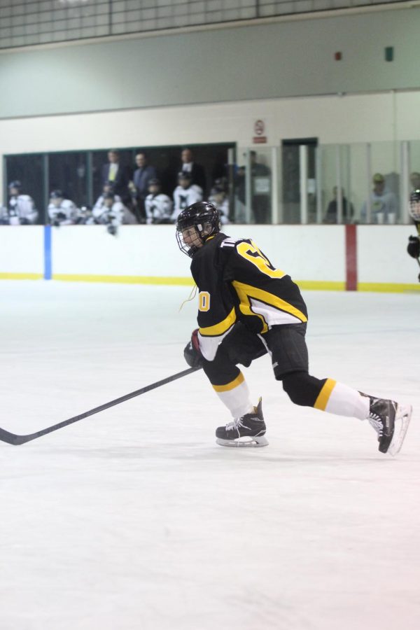 Senior Phillip Tannfelt pushes the puck up the rink in a game against Marquette on Feb. 2. 