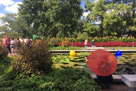 Out and About: Japanese Festival at the Missouri Botanical Gardens