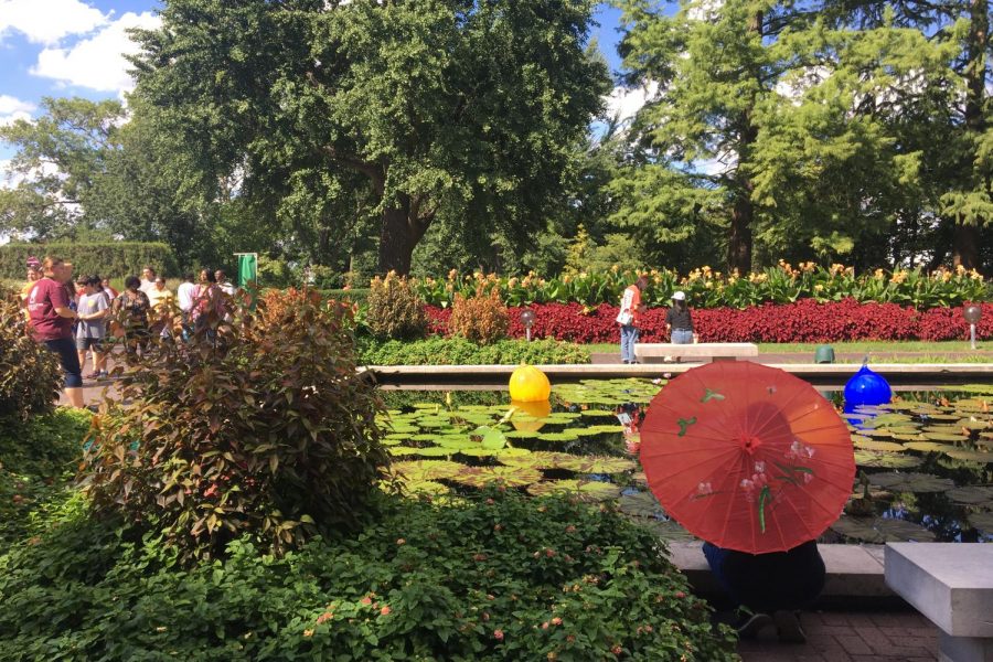 The beautiful scenery of the Botanical Gardens wonderfully complemented the atmosphere of the festival.  One couldnt turn anywhere without seeing someone clinging to these red Japanese umbrellas.