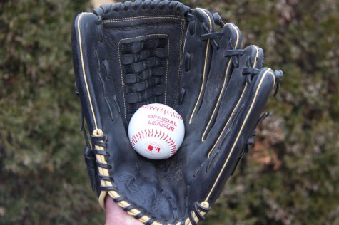 In wake of the Astros cheating scandal, the MLB needs to create harsher punishments for teams in order to deter them from cheating.