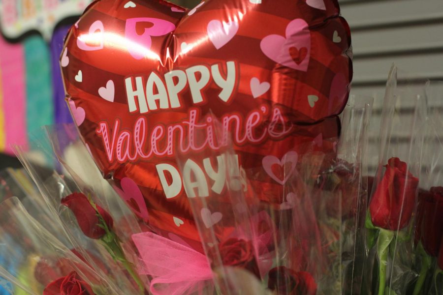 Photo Opinion: Is Valentines Day overrated?