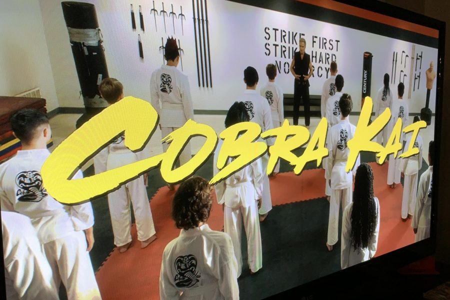 How Many Karate Kid Characters Are Left for Cobra Kai to Introduce