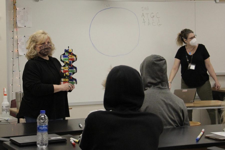 Special education teacher Kathy Clayman holds DNA model while science teacher Carrie Hall discusses the bases of DNA in a biology class. Next year, all consultant teacher services in the Rockwood School District will be replaced by Academic Support Centers.