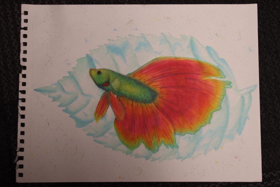 A fish was made by Tremper two years ago for a copic marker contest. 
