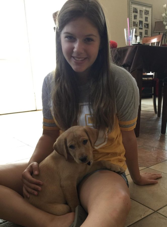 About a week after we got our dog, Princess Leia, who we named after the iconic Star Wars character, she quickly decided one of her favorite spots is sitting right on my lap. She still curls up there, no matter how big she gets. 