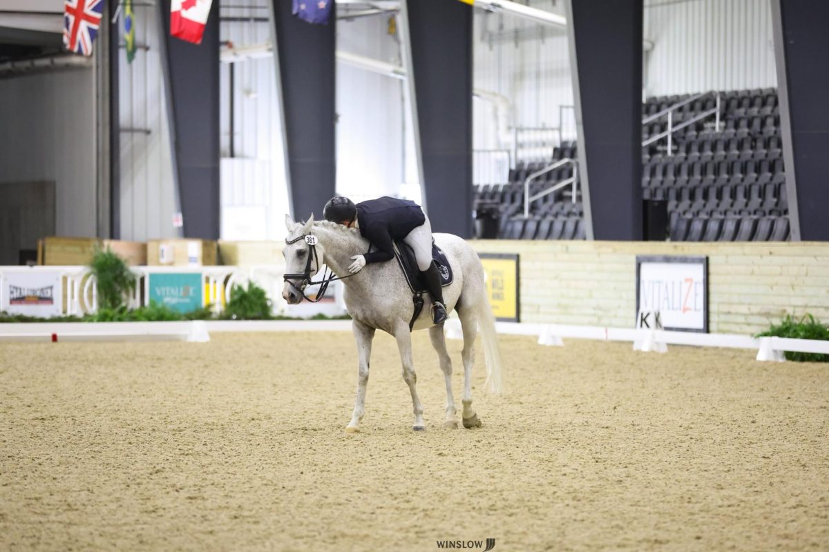 After winning all three training level tests at the National Dressage Pony Cup, senior Grace Miltenberger hugs her horse, Bentley.