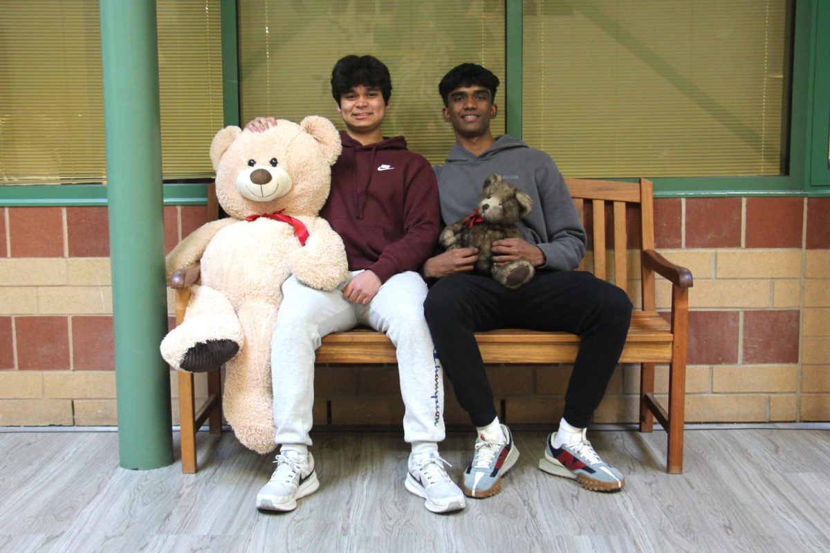 Juniors+Aditya+Pall+%28left%29+and+Raghav+Dandamudi+%28right%29+are+collecting+stuffed+bears%2C+donated+by+Lancers.+For+their+fundraiser%2C+Paws+for+a+Cause%2C+collected+stuffed+animals+will+be+donated+to+BJC+Hospital+and+Country+Acres+Pet+Resort.