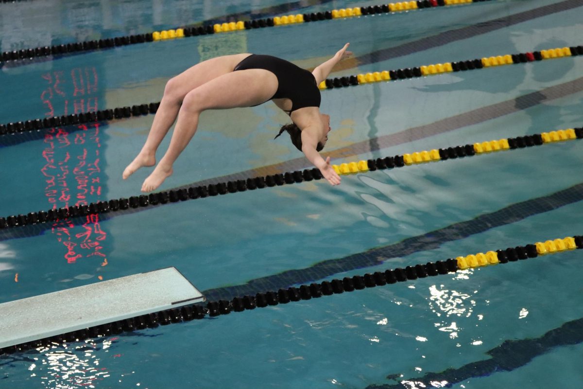 Jumping off the springboard, junior Lucia Tenny performs a back dive. Tenny won the Yellow Pool Suburban Conference Meet in diving.