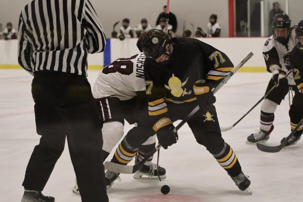 Sophomore forward Luke Ross fights for the puck during the Lafayette and Rockwood Summit's, Nov 3. The two rivals tied, in their first conference game of the season, 1-1.                                                              