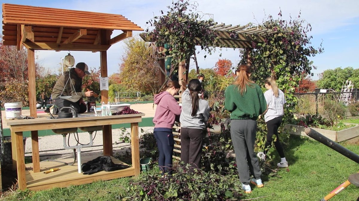 NHS members do community service through Lafayette NHS.
