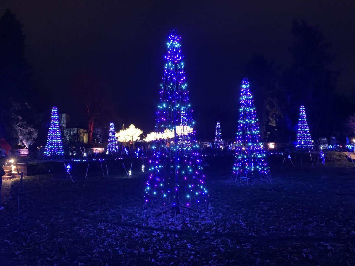 Color-changing light installations illuminate trees during Garden Glow at the Missouri Botanical Garden, one of St. Louis’ annual holiday traditions.