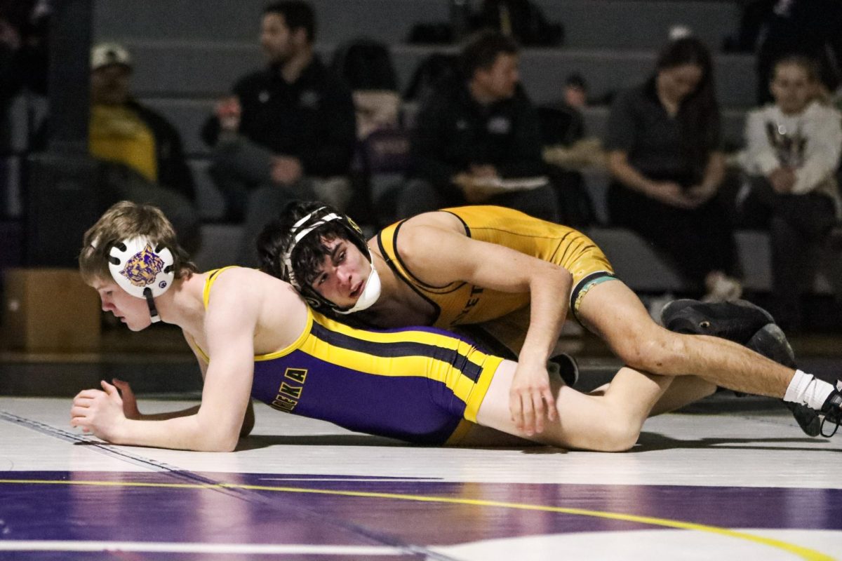 Wrestling is precise and requires athletes to be in the same weight class in order to participate.