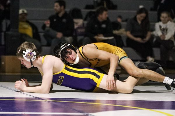Wrestling is precise and requires athletes to be in the same weight class in order to participate.