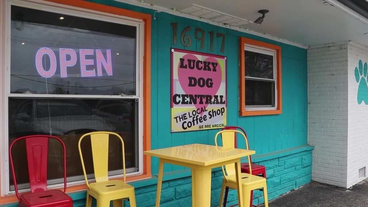Lucky Dog Central is a family owned dog friendly coffee shop that serves coffee and sandwiches.